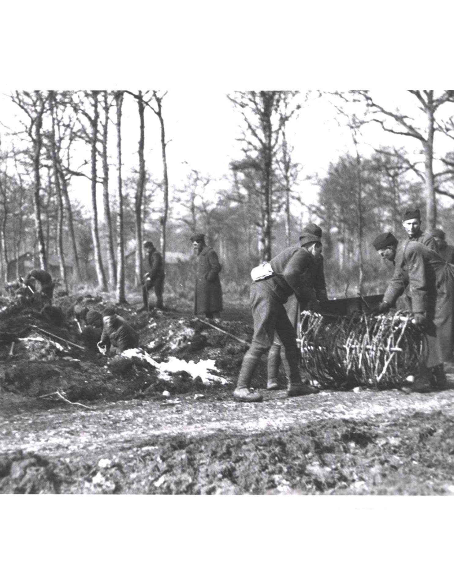 PhotoSoldiers Digging Trenches First Division Museum